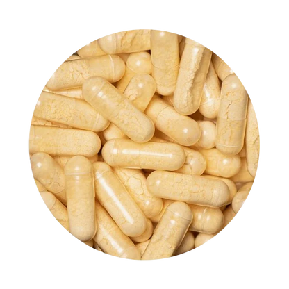 Q10 Kapszula